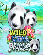 วิธีดาวน์โหลด slotxo ลง คอม พร้อมเทคนิคลับฉบับเซียน