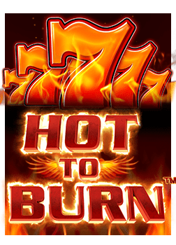 สูตร ลูกเต๋า ไฮโล สำหรับนักเสี่ยงโชค